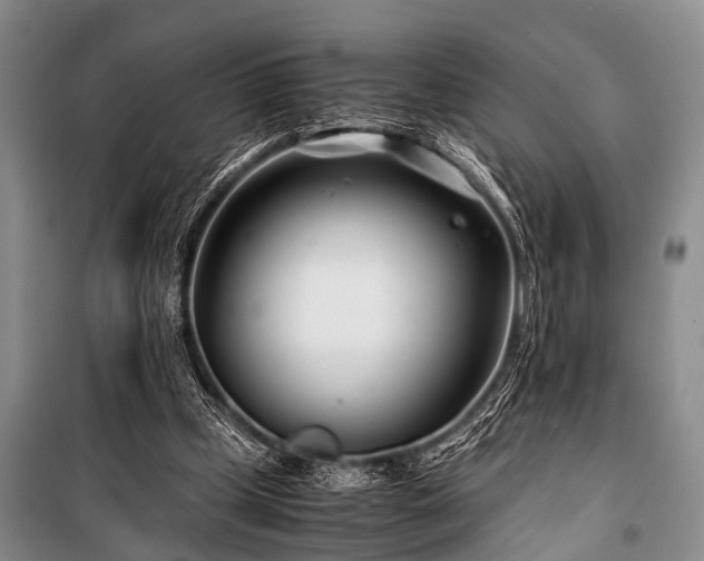 X0000101170249200806271041
