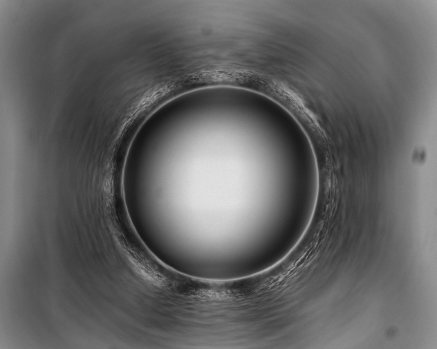 X0000101170250200806271041