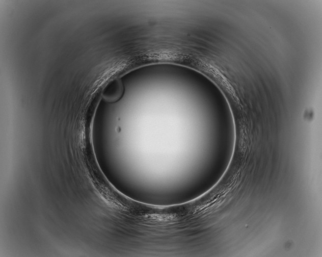 X0000101170251200806271041