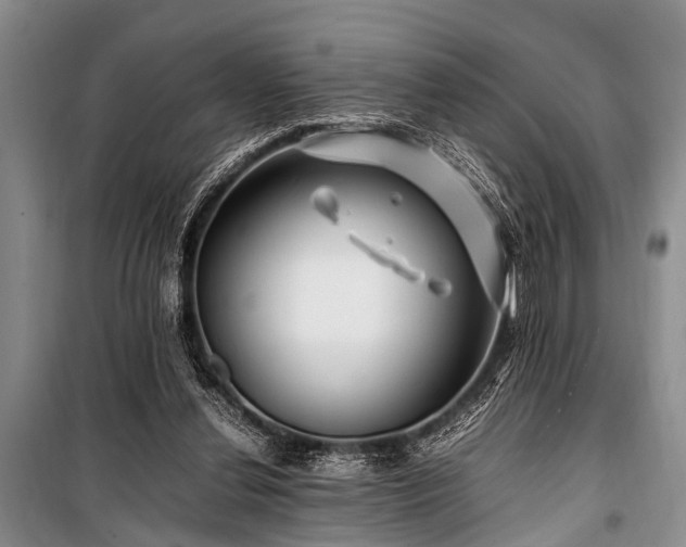 X0000101170252200806271041