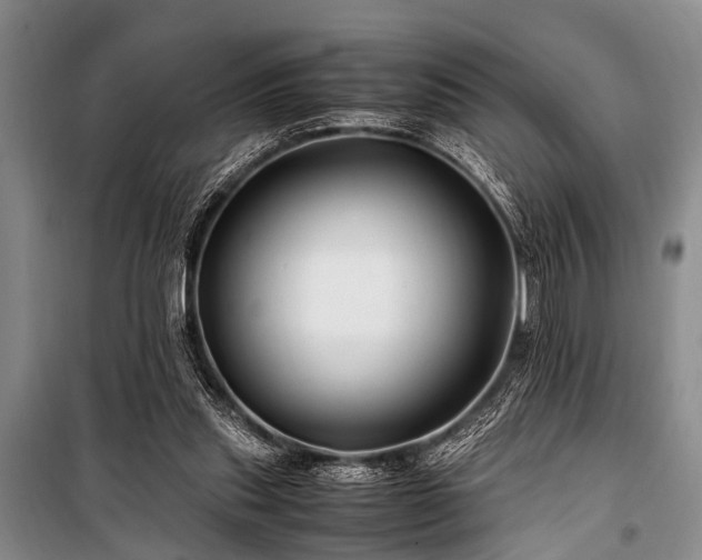 X0000101170253200806271041
