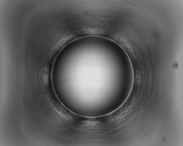 X0000101170255200806271042