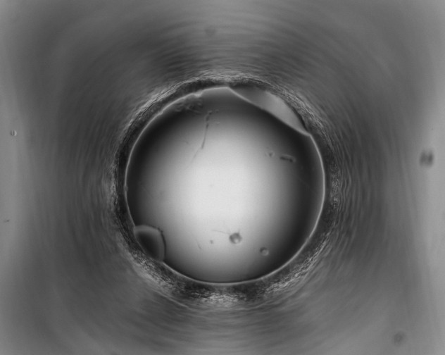 X0000101170256200806271042
