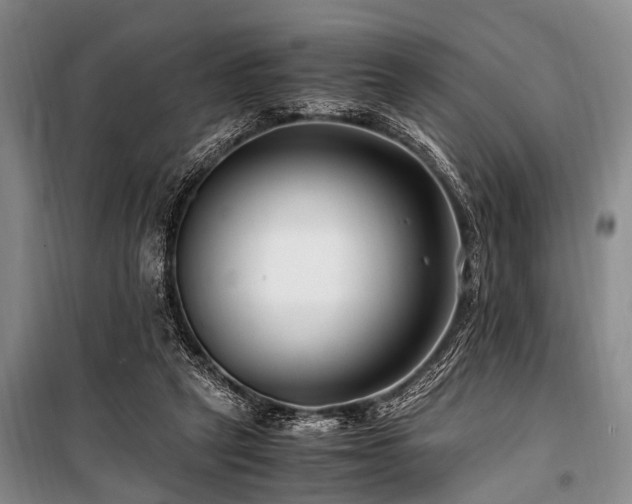 X0000101170257200806271042