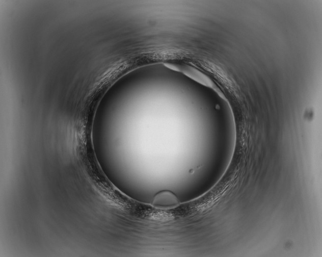 X0000101170258200806271042