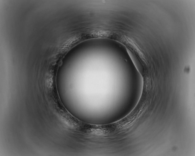 X0000101170259200806271042
