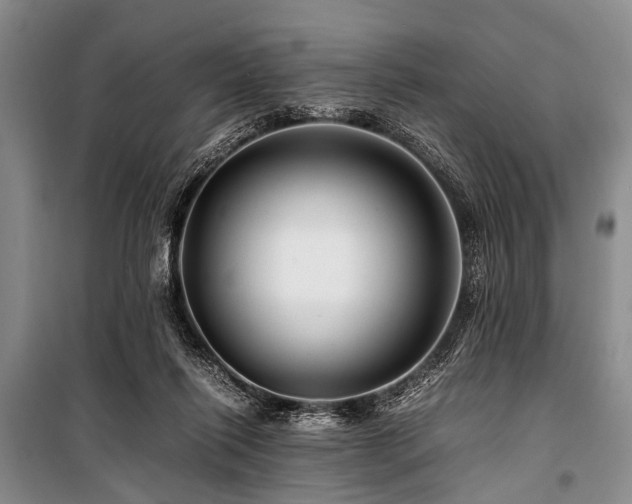 X0000101170262200806271042