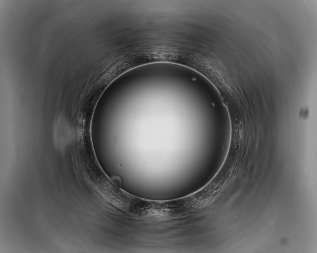 X0000101170263200806271042