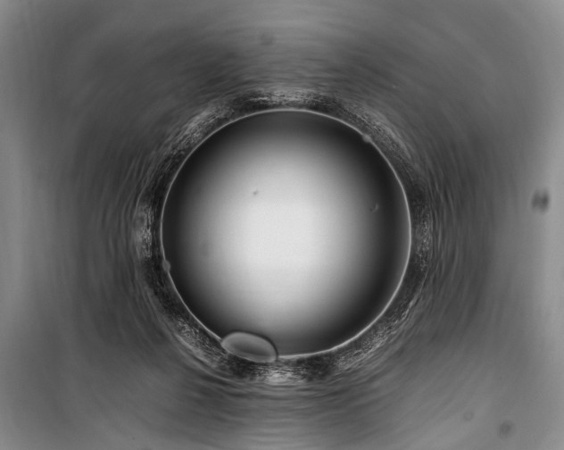 X0000101170264200806271042
