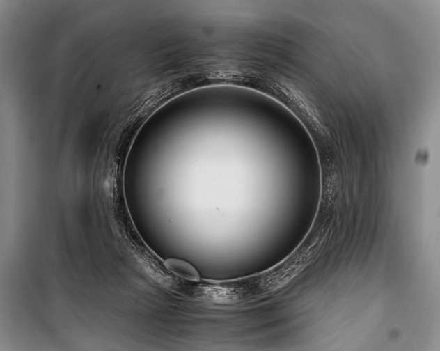 X0000101170265200806271042
