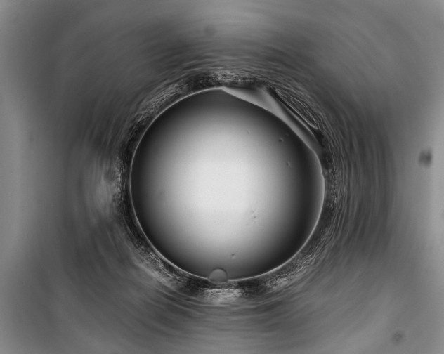 X0000101170266200806271042