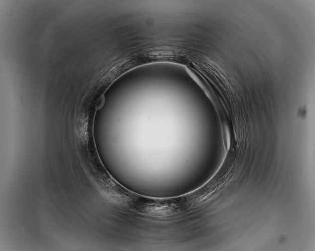 X0000101170267200806271042