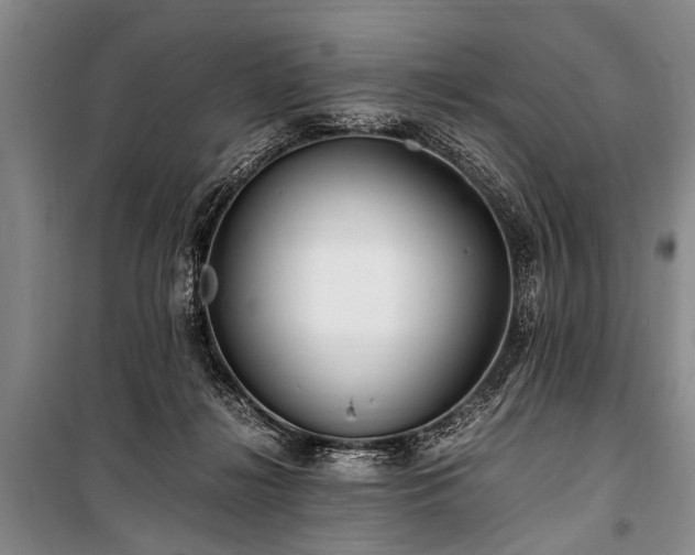 X0000101170268200806271042
