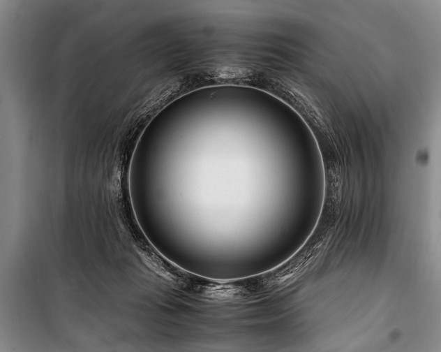 X0000101170269200806271042