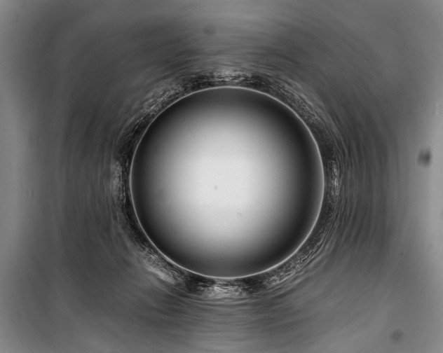 X0000101170270200806271042