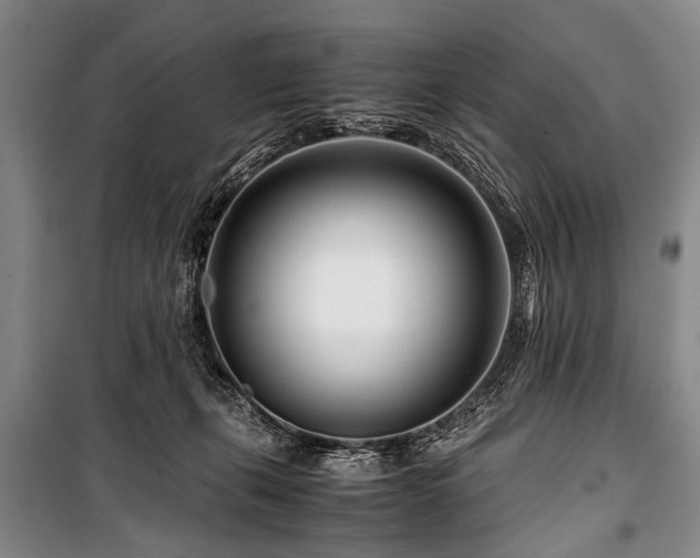 X0000101170271200806271042