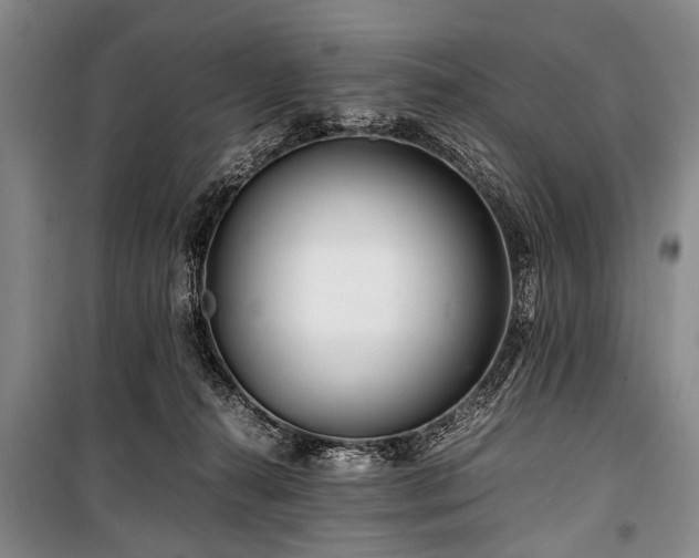 X0000101170272200806271042