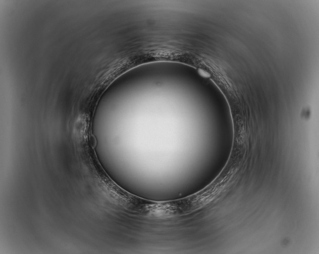 X0000101170273200806271042