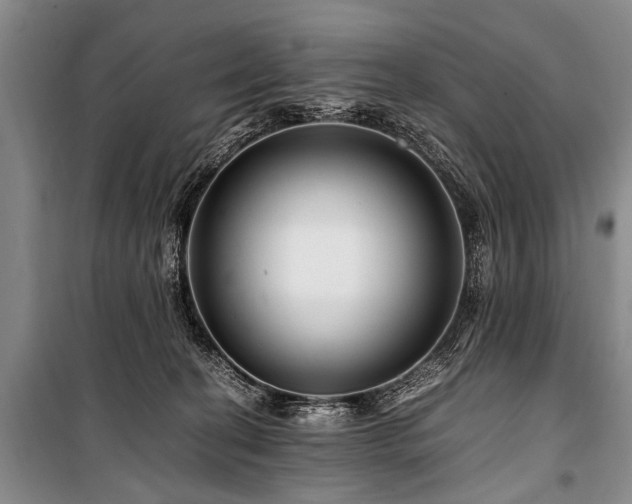 X0000101170274200806271042