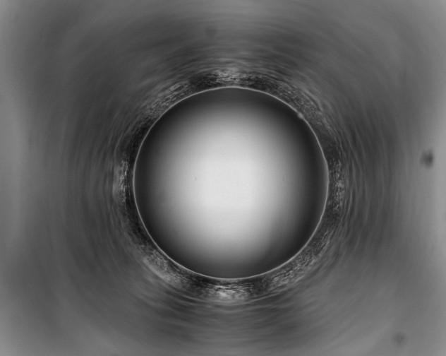 X0000101170275200806271042