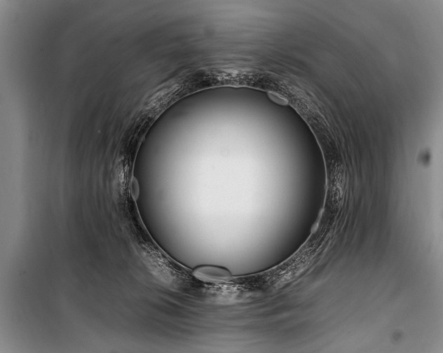 X0000101170276200806271042
