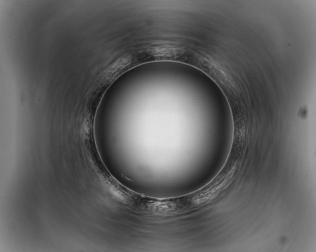 X0000101170277200806271042
