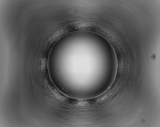 X0000101170278200806271042