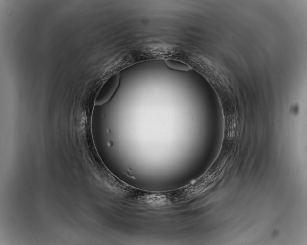 X0000101170279200806271042