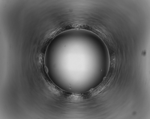 X0000101170280200806271042