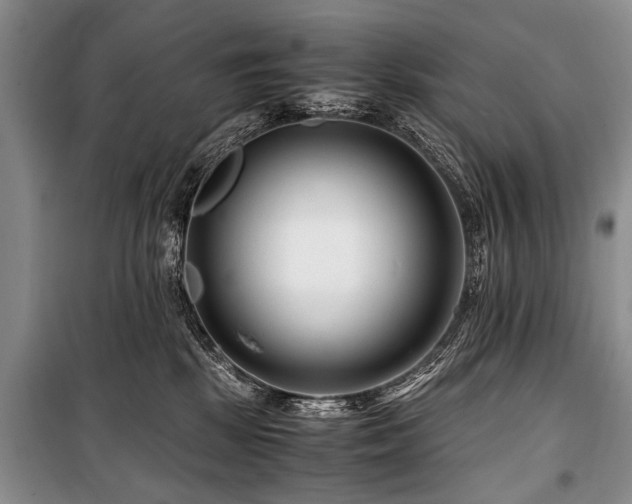 X0000101170281200806271042