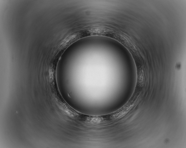 X0000101170282200806271042