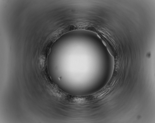 X0000101170283200806271042