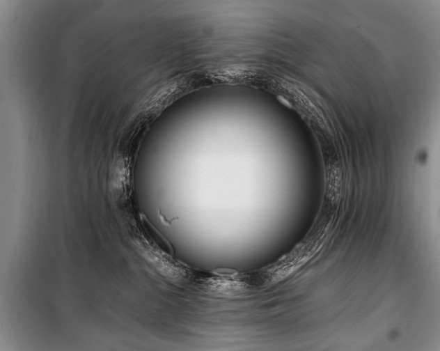 X0000101170284200806271042