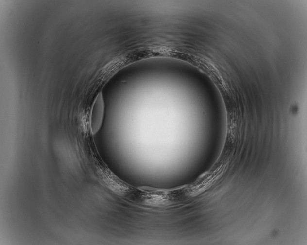 X0000101170285200806271042