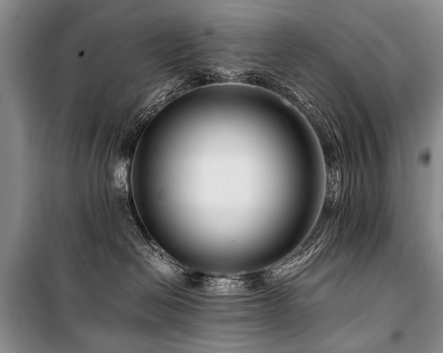 X0000101170286200806271042