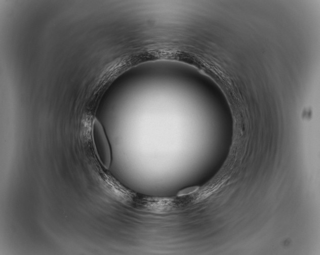 X0000101170288200806271042