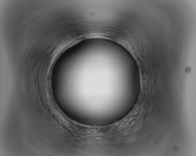 X0000101170289200806271041