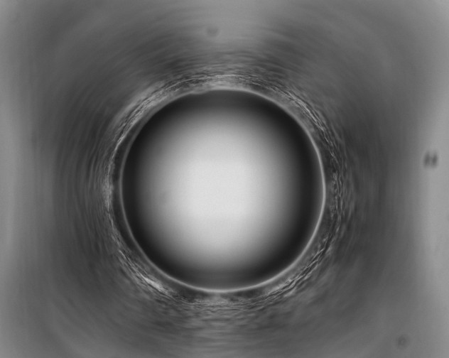 X0000101170290200806271041