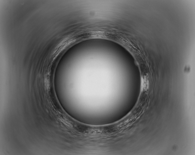 X0000101170291200806271041