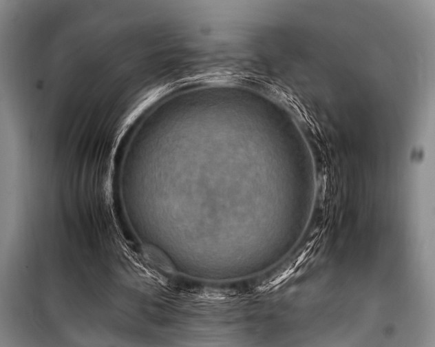X0000101170292200806271041