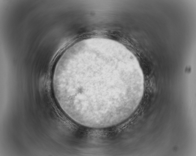 X0000101170293200806271041