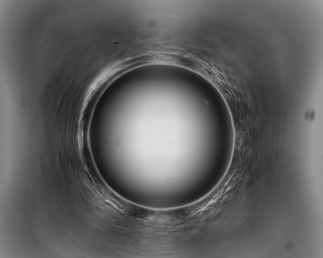 X0000101170294200806271041