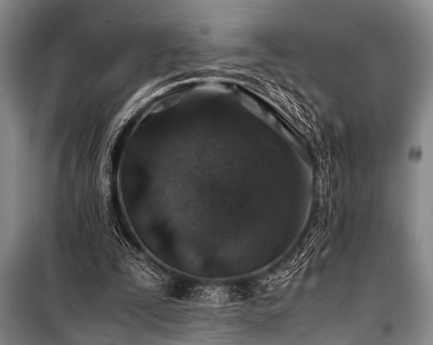 X0000101170295200806271041