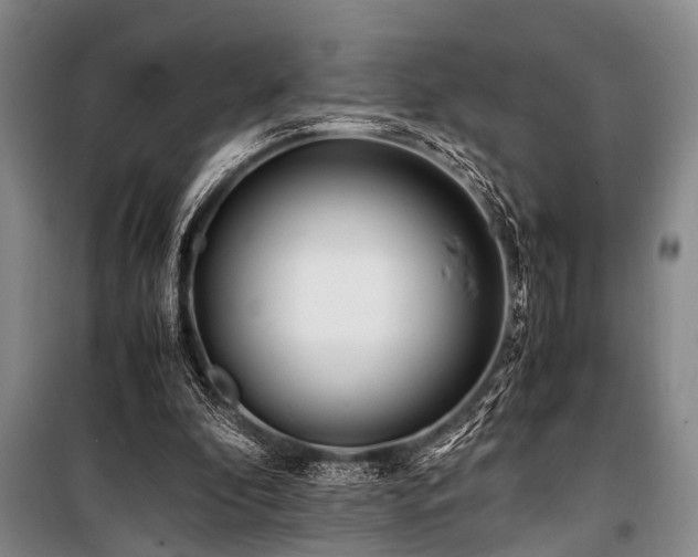 X0000101170296200806271041