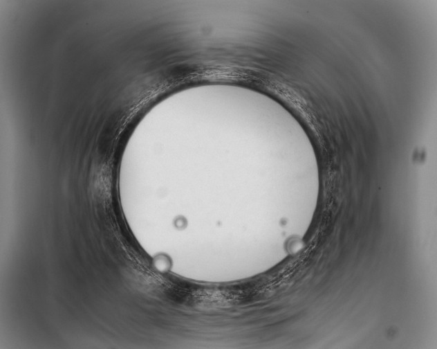 X0000101170297200806271041