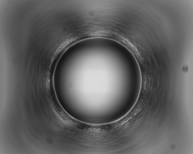 X0000101170298200806271041