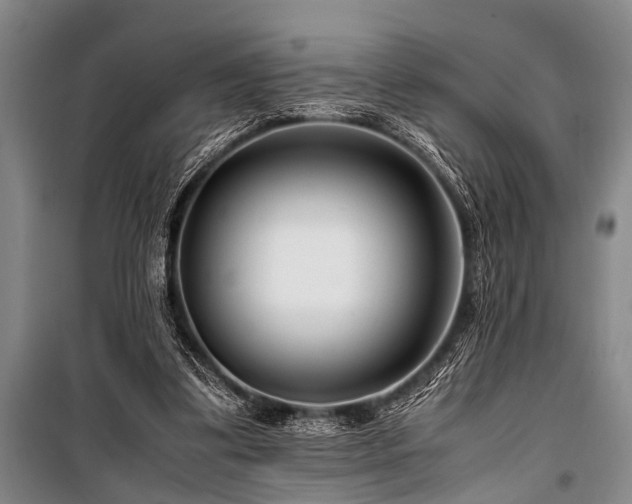 X0000101170299200806271041