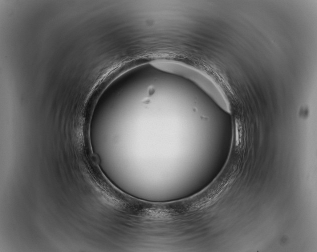 X0000101170300200806271041