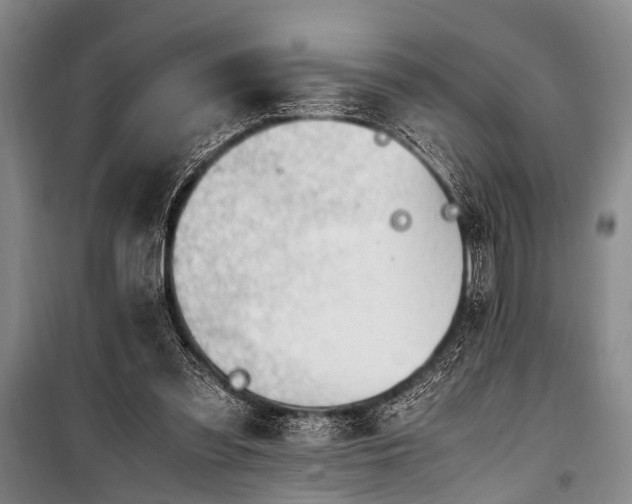 X0000101170301200806271041