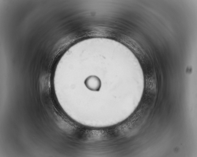 X0000101170302200806271041